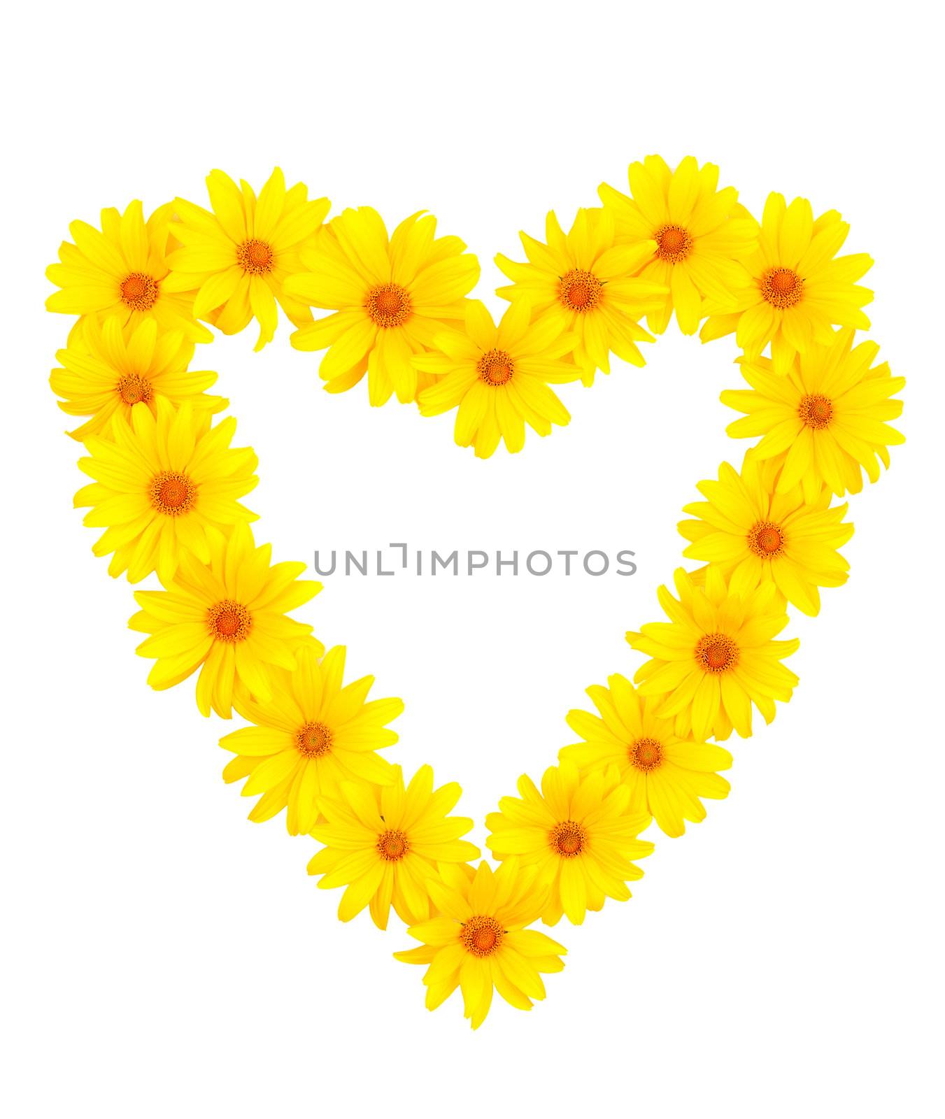 The beautiful frame heart of yellow flowers