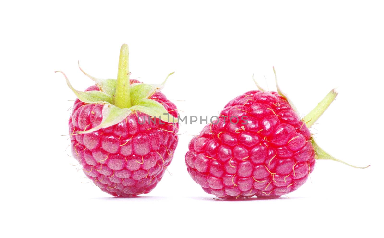 fresh raspberry closeup isolated on white background