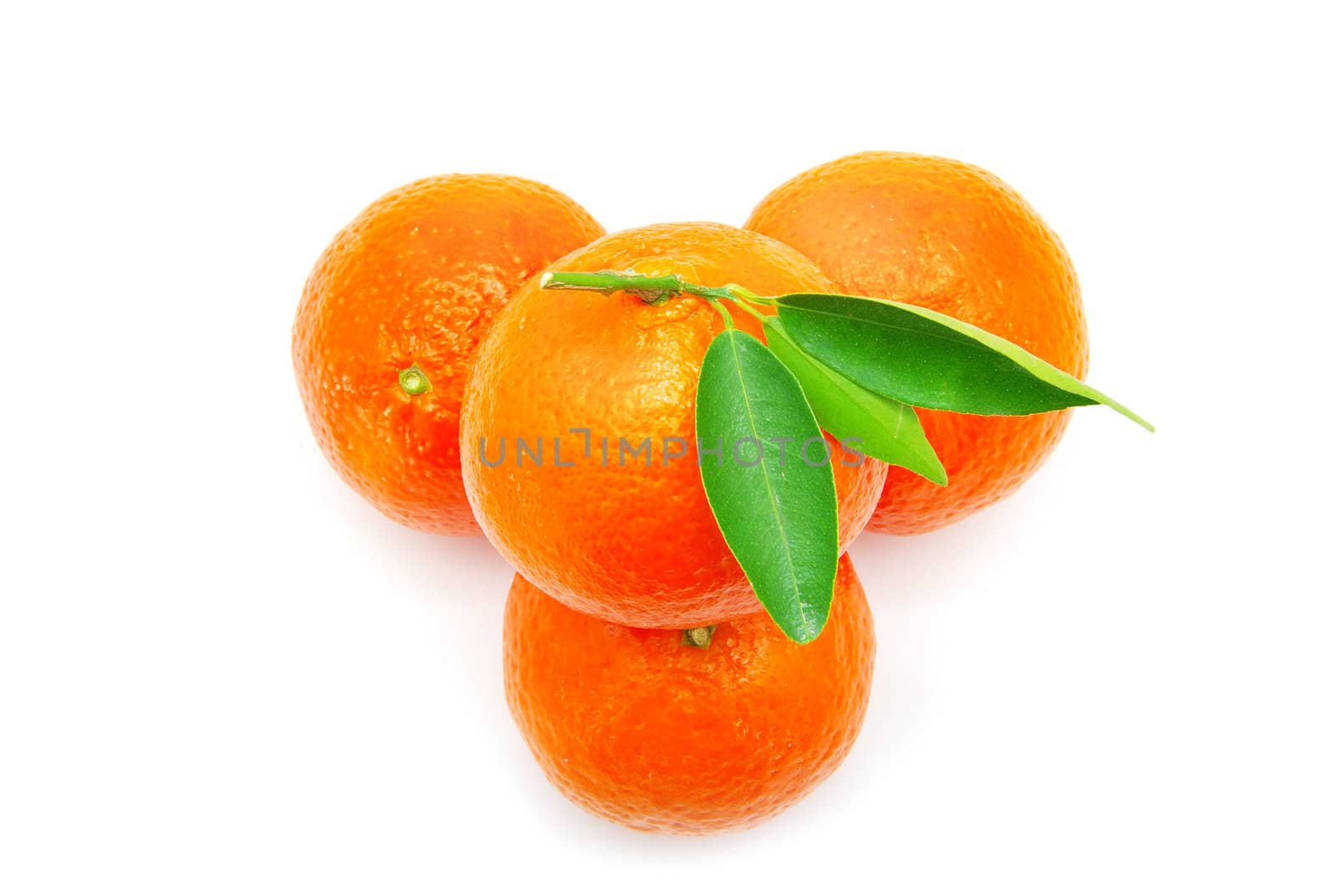  tangerine isolated on a white background