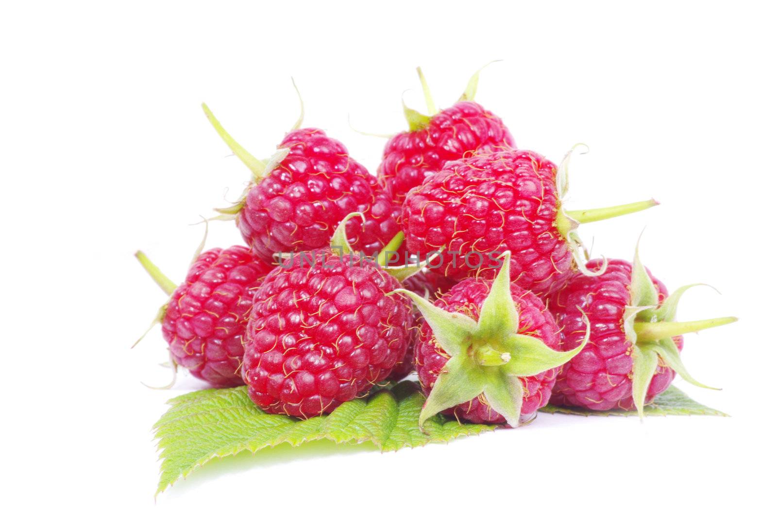 fresh raspberry closeup isolated on white background