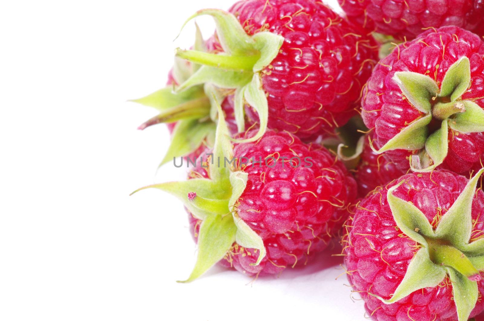 fresh raspberry closeup isolated on white background