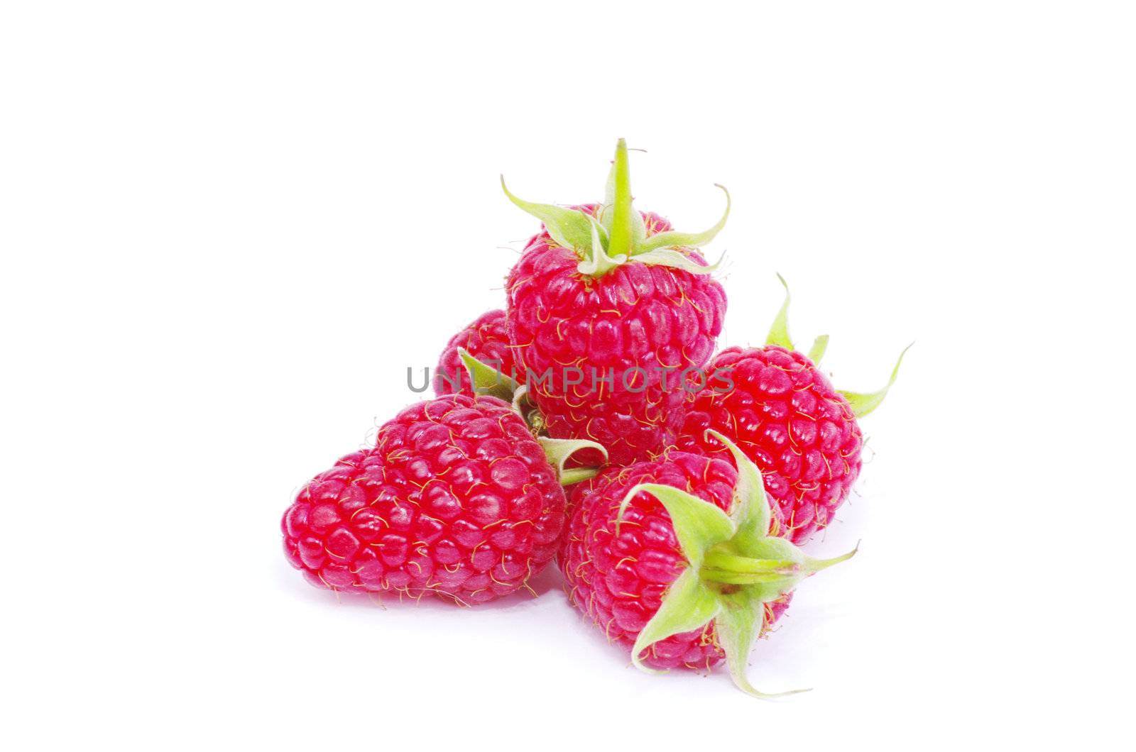fresh raspberry closeup isolated on white background