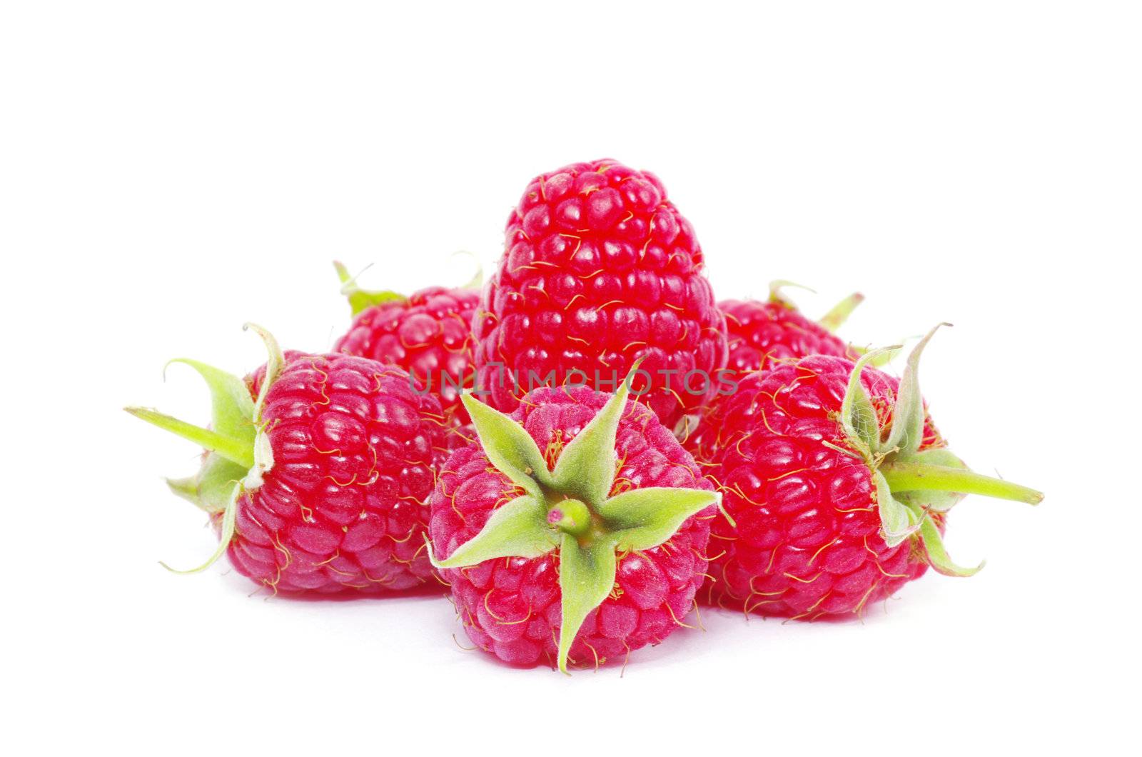 fresh raspberry closeup isolated on white background