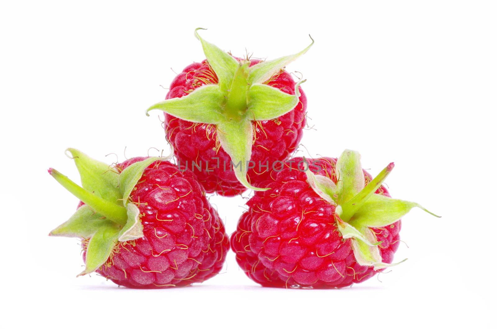 Ripe raspberry isolated on a white background