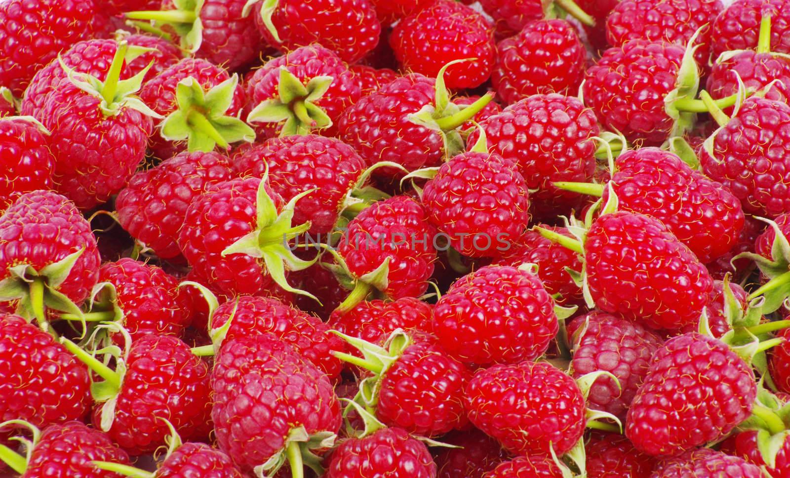 sweet fresh raspberry close up