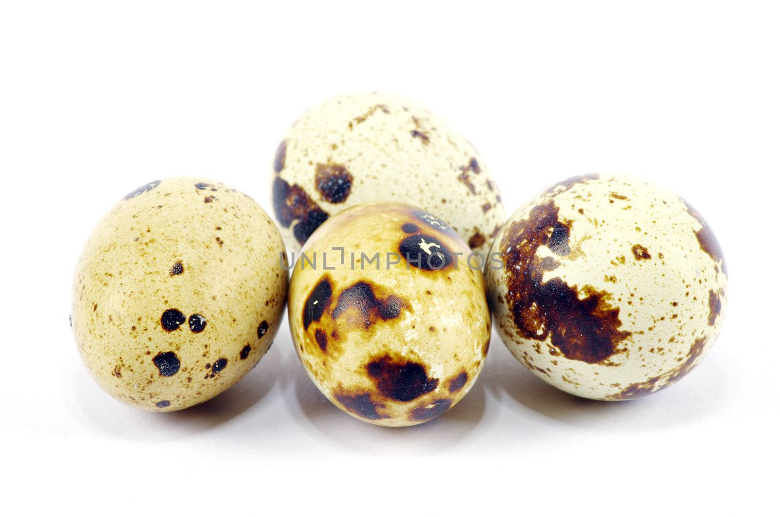 Quail eggs in isolated on white background