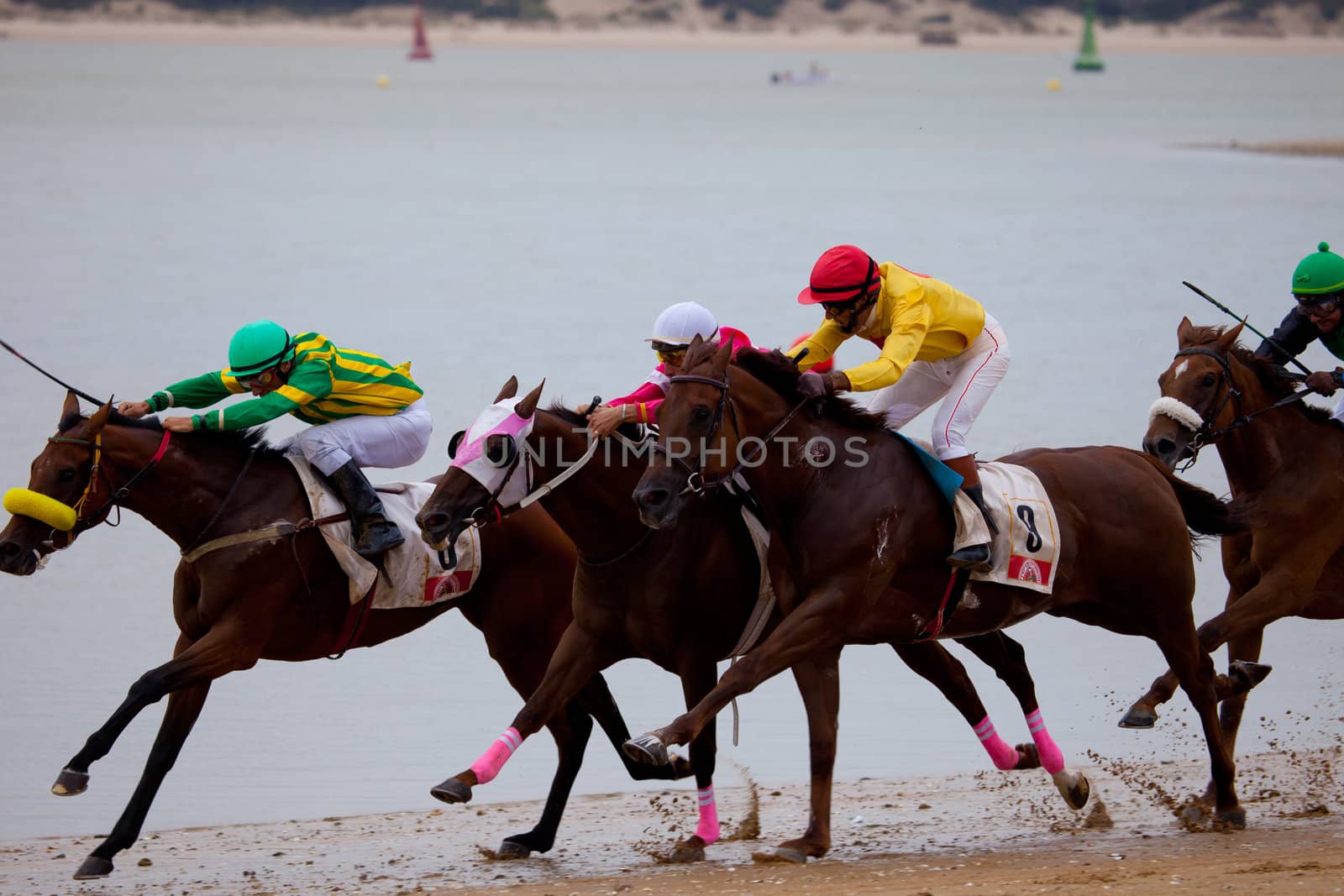SANLUCAR DE BARRAMEDA, CADIZ, SPAIN - AUGUST 07: Unknown riders of the horses races of the beach of Sanlucar de Barrameda on August 07, 2010 in Sanlucar de Barrameda, Cadiz, Spain.