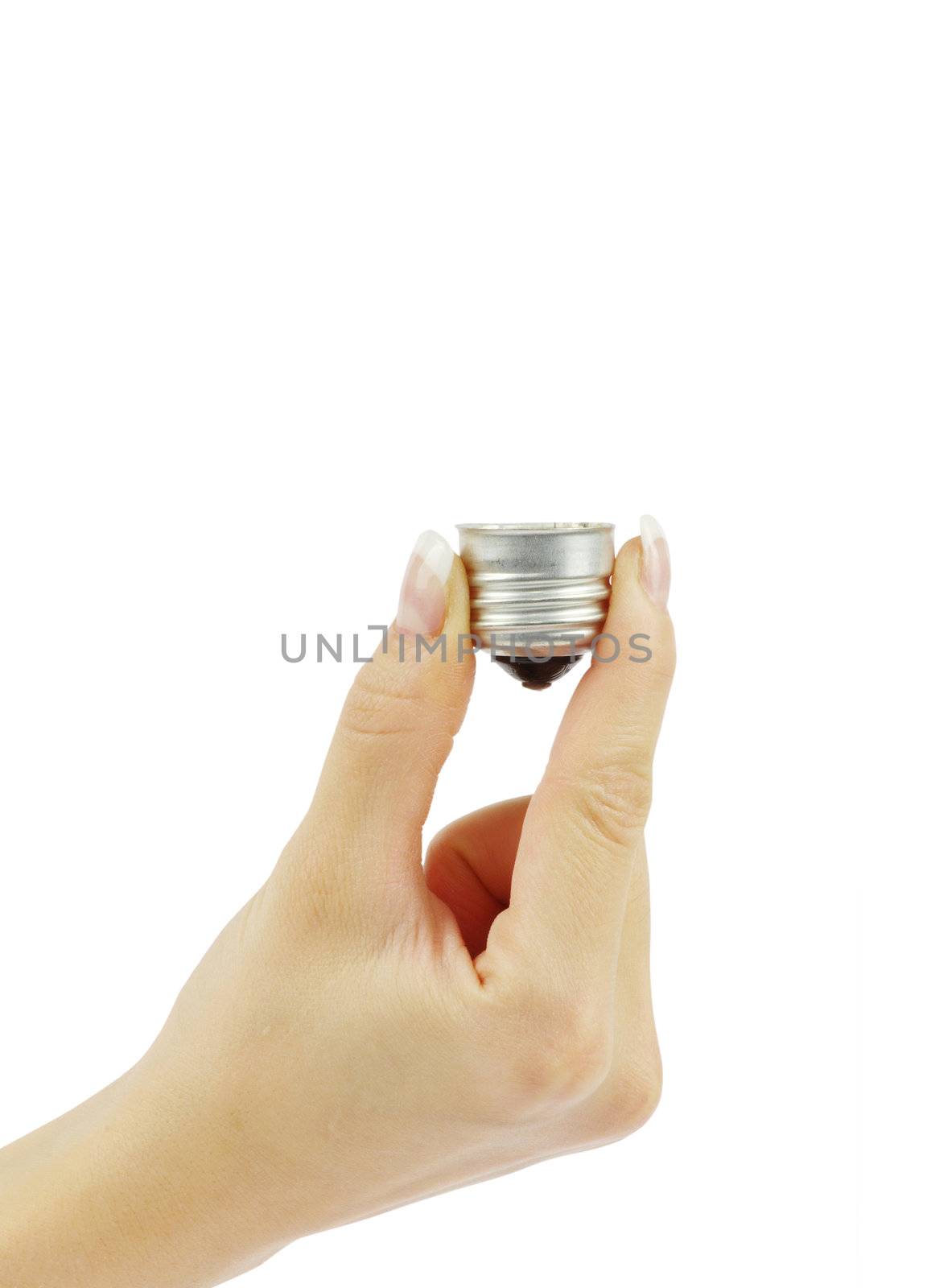  hand holding bulb isolated on white background