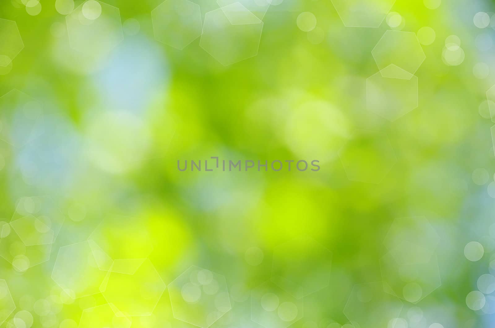 Natural green a blurred background