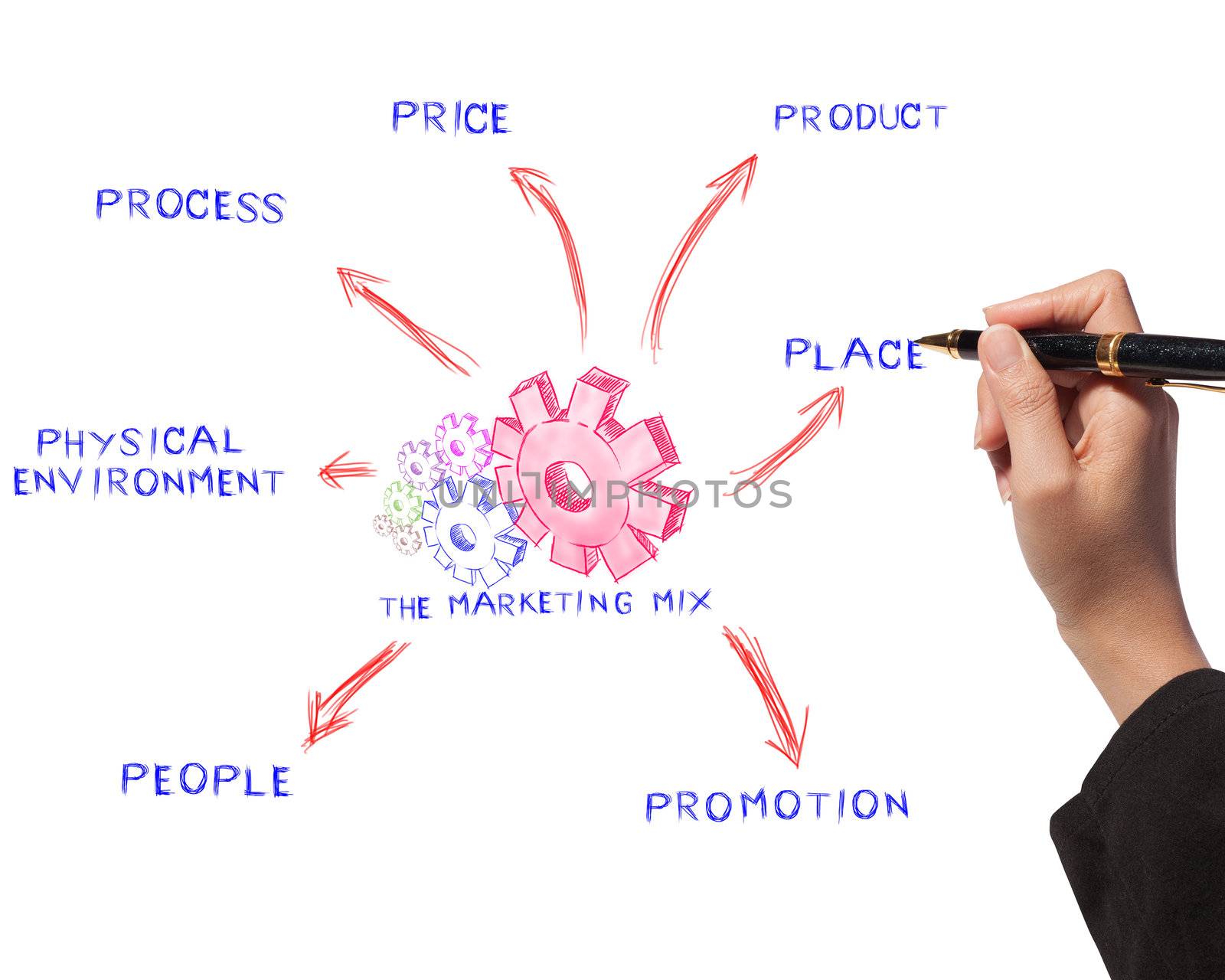 Woman drawing the marketing mix idea board of business process by Suriyaphoto