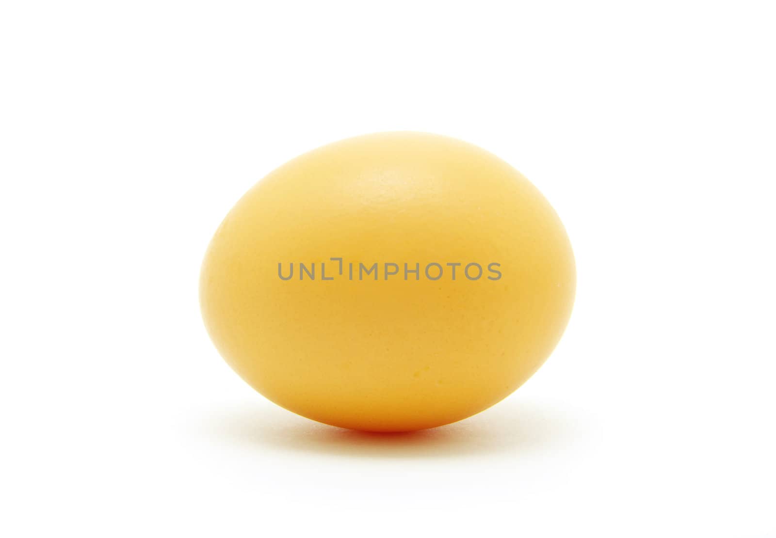 brown egg isolated on the white background