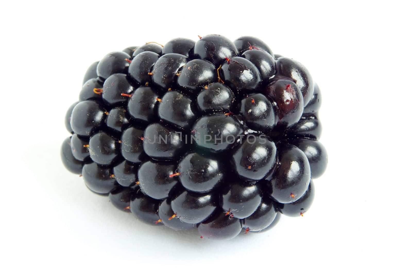 blackberry isolated on white background