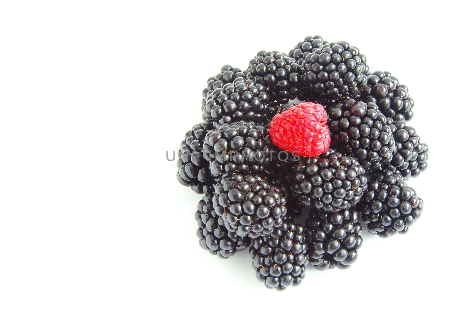 raspberry and blackberry on  white isolated background