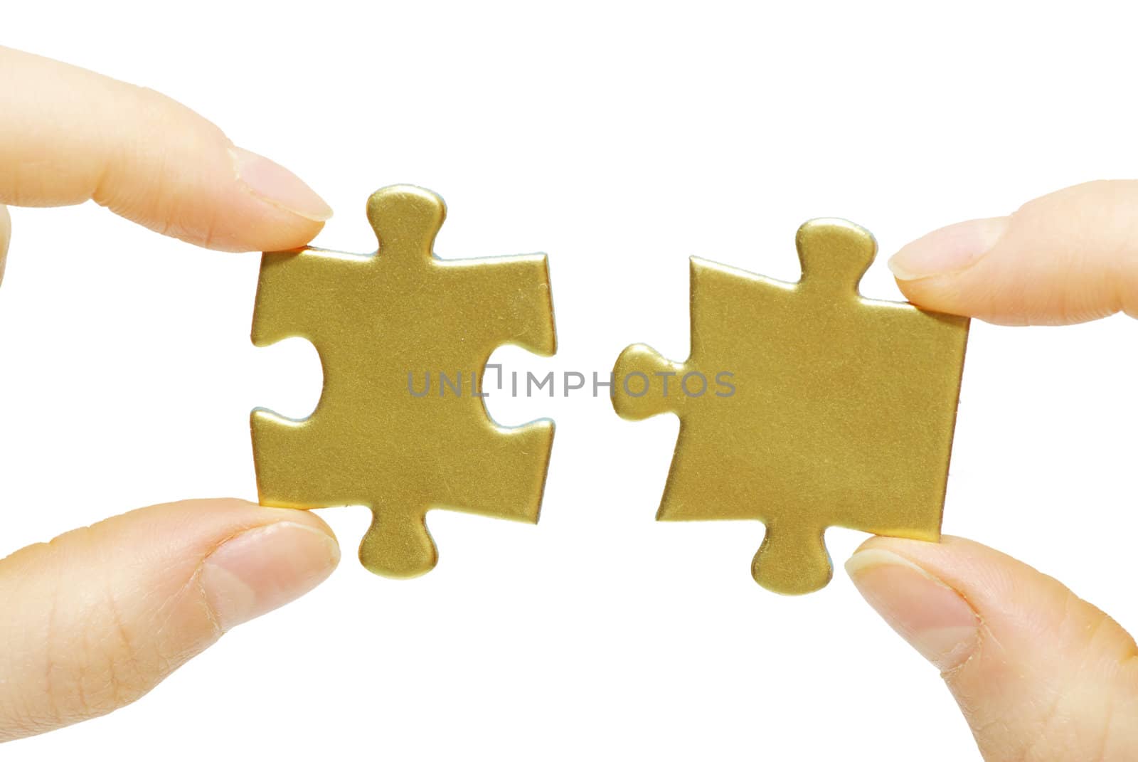  puzzle in hand isolated on white background
