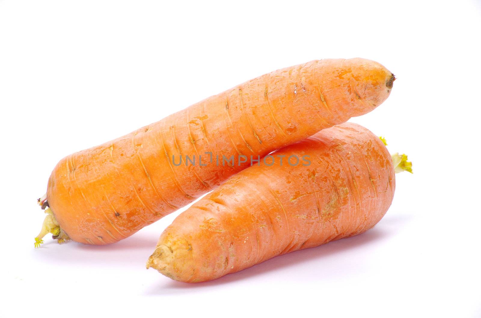 carrots isolated on a white