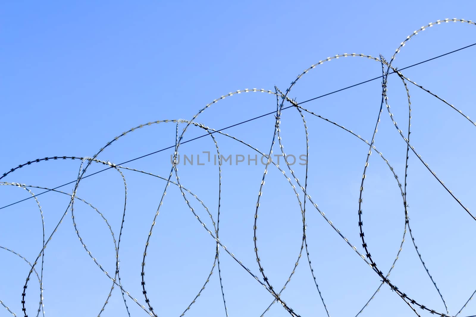 spirals of barbed wire against the sky