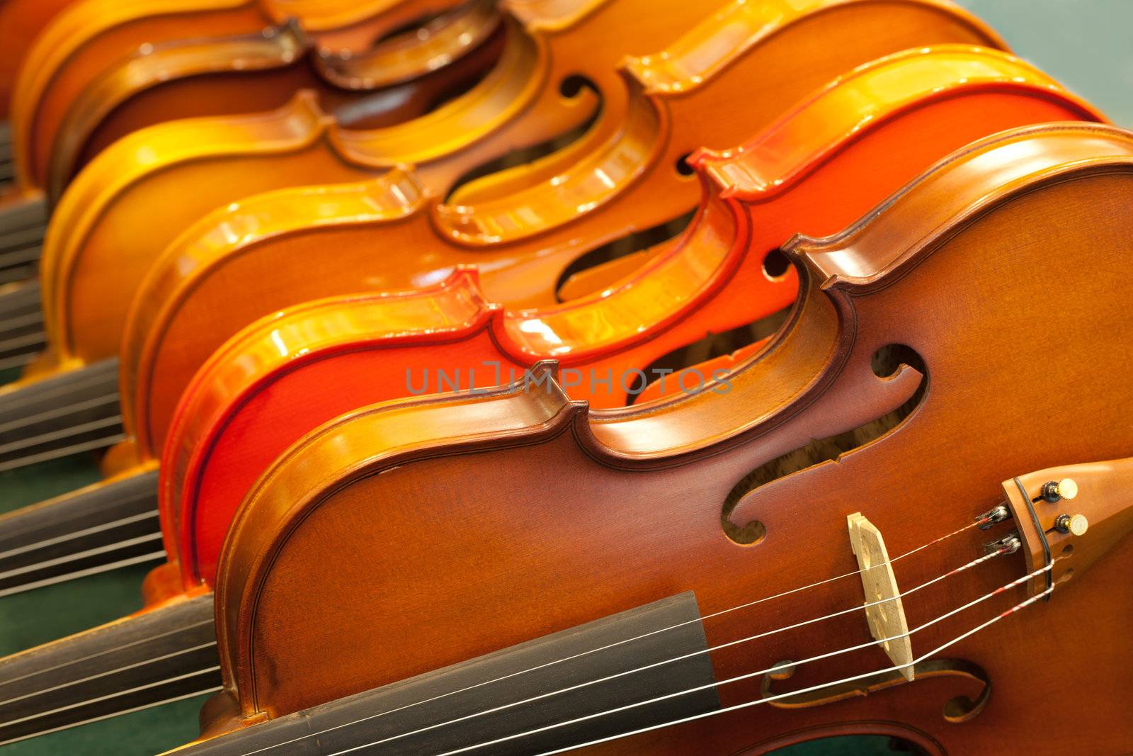 Close up violin  by Suriyaphoto