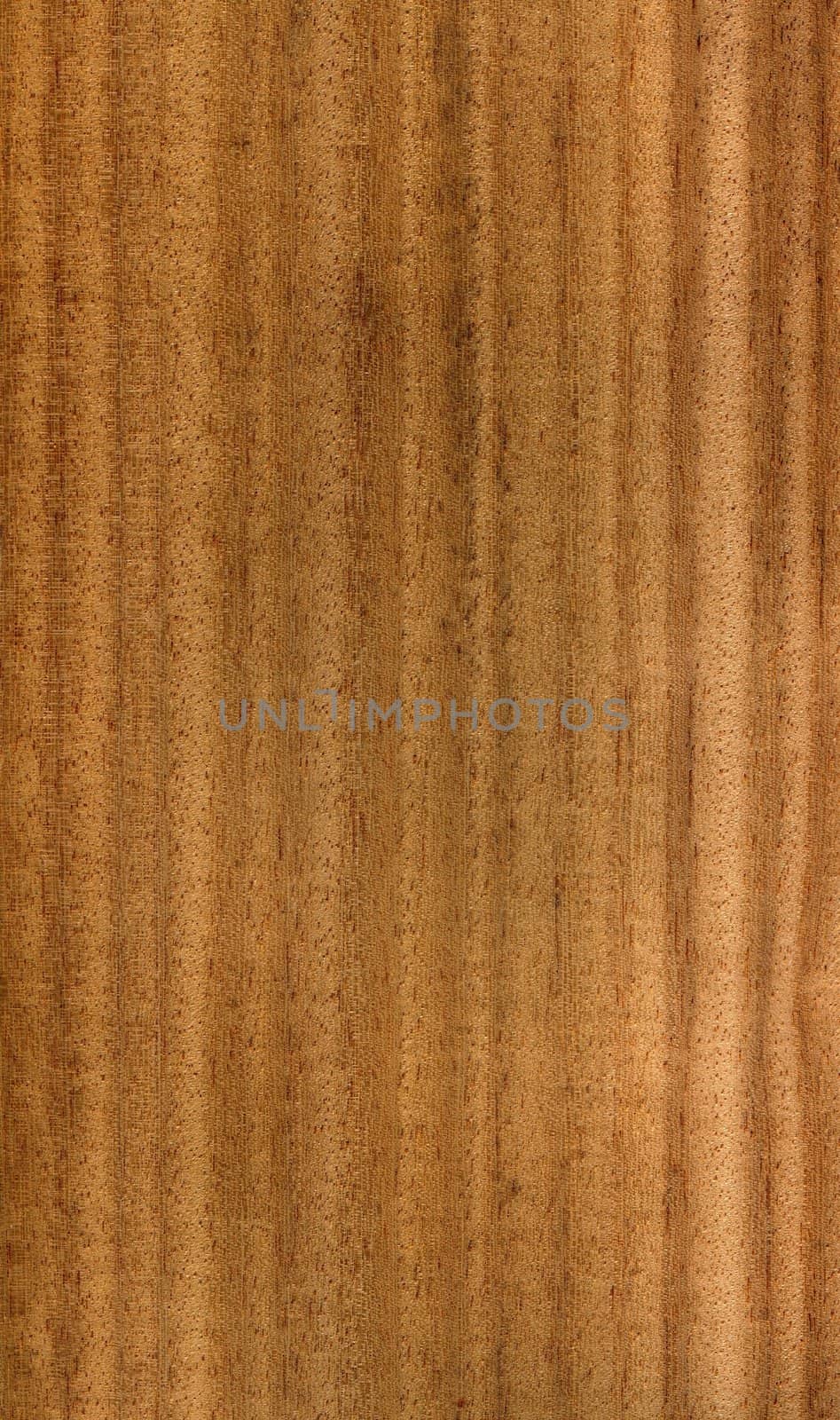 High resolution Wood texture