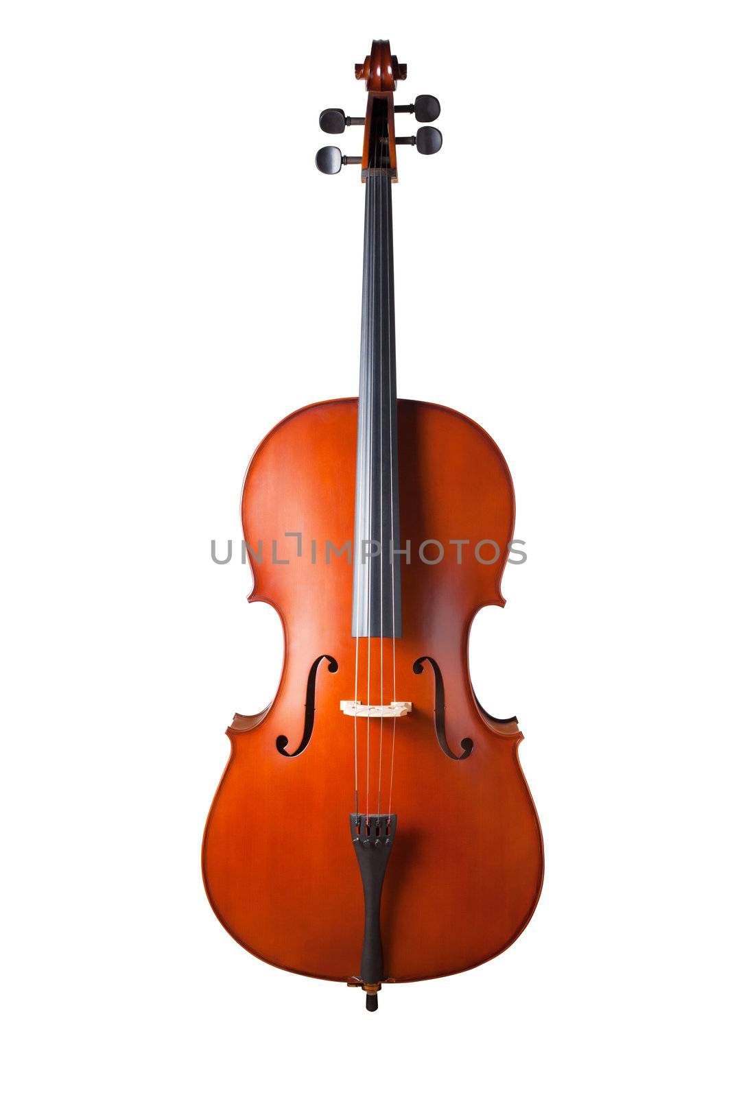 Violin isolated on white background. with clipping path by Suriyaphoto