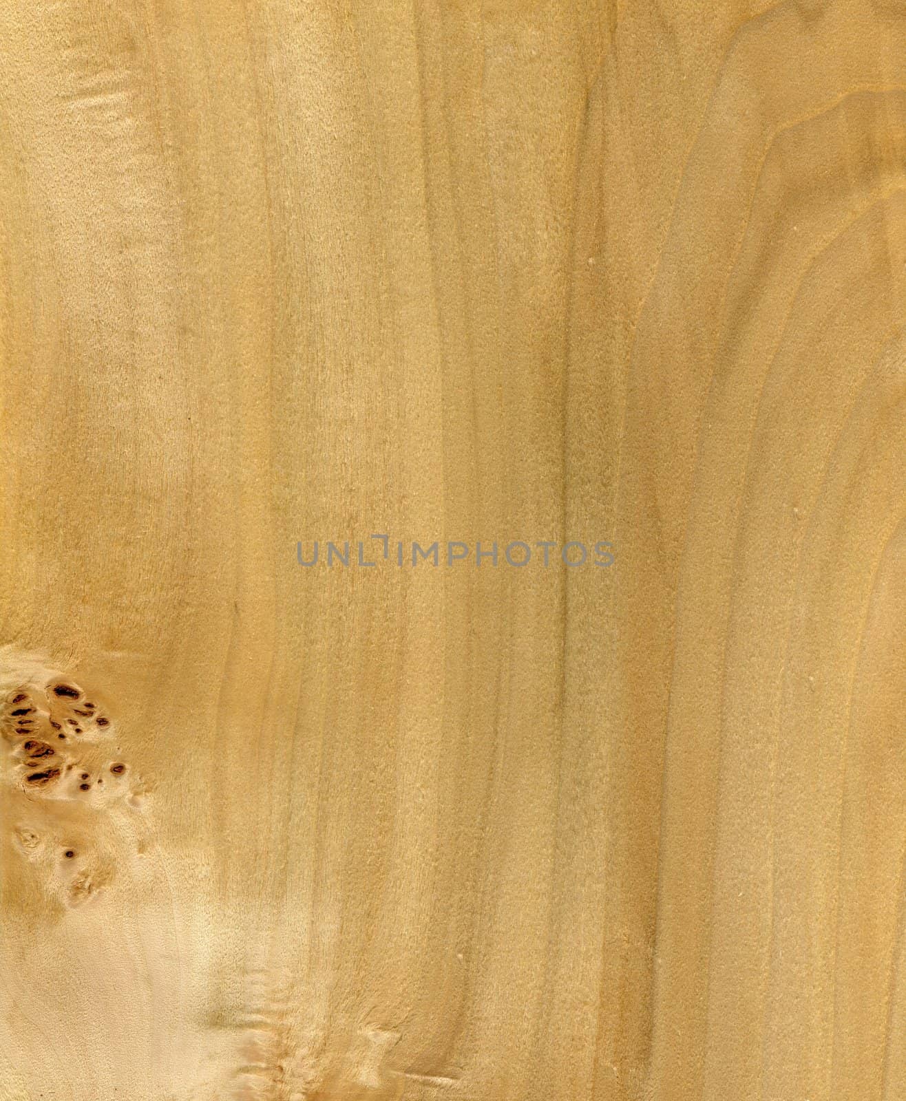 High resolution Wood texture