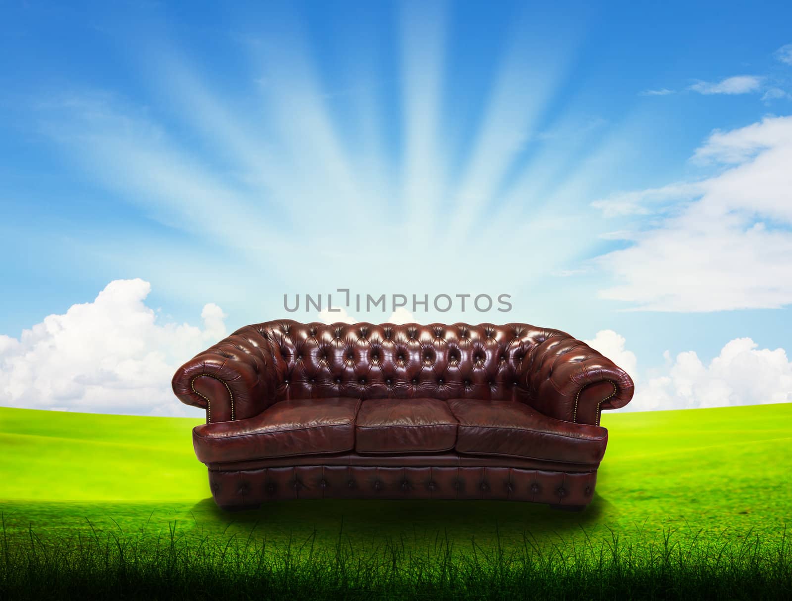 alone sofa on grass field by Suriyaphoto