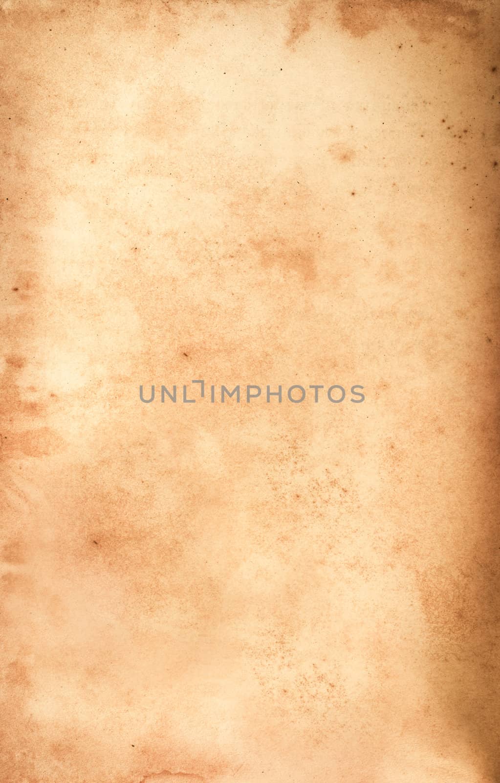 Extra large Old grunge paper for background by Suriyaphoto