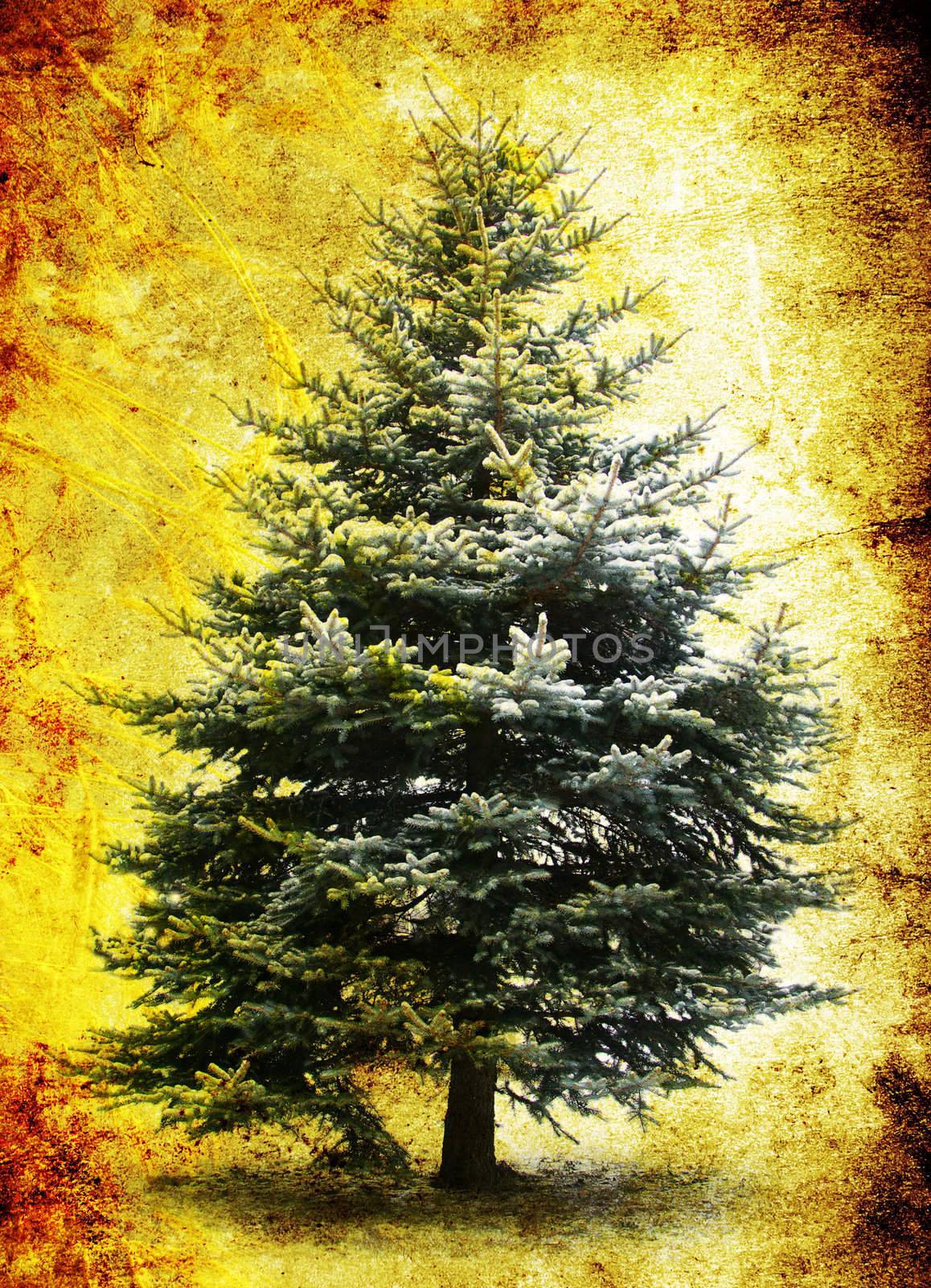 fir tree branches christmas decoration 