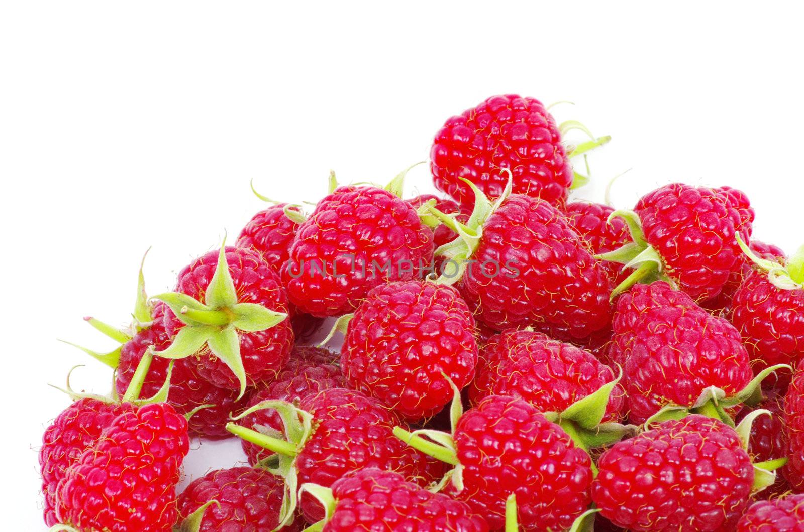 fresh raspberry closeup isolated on white background