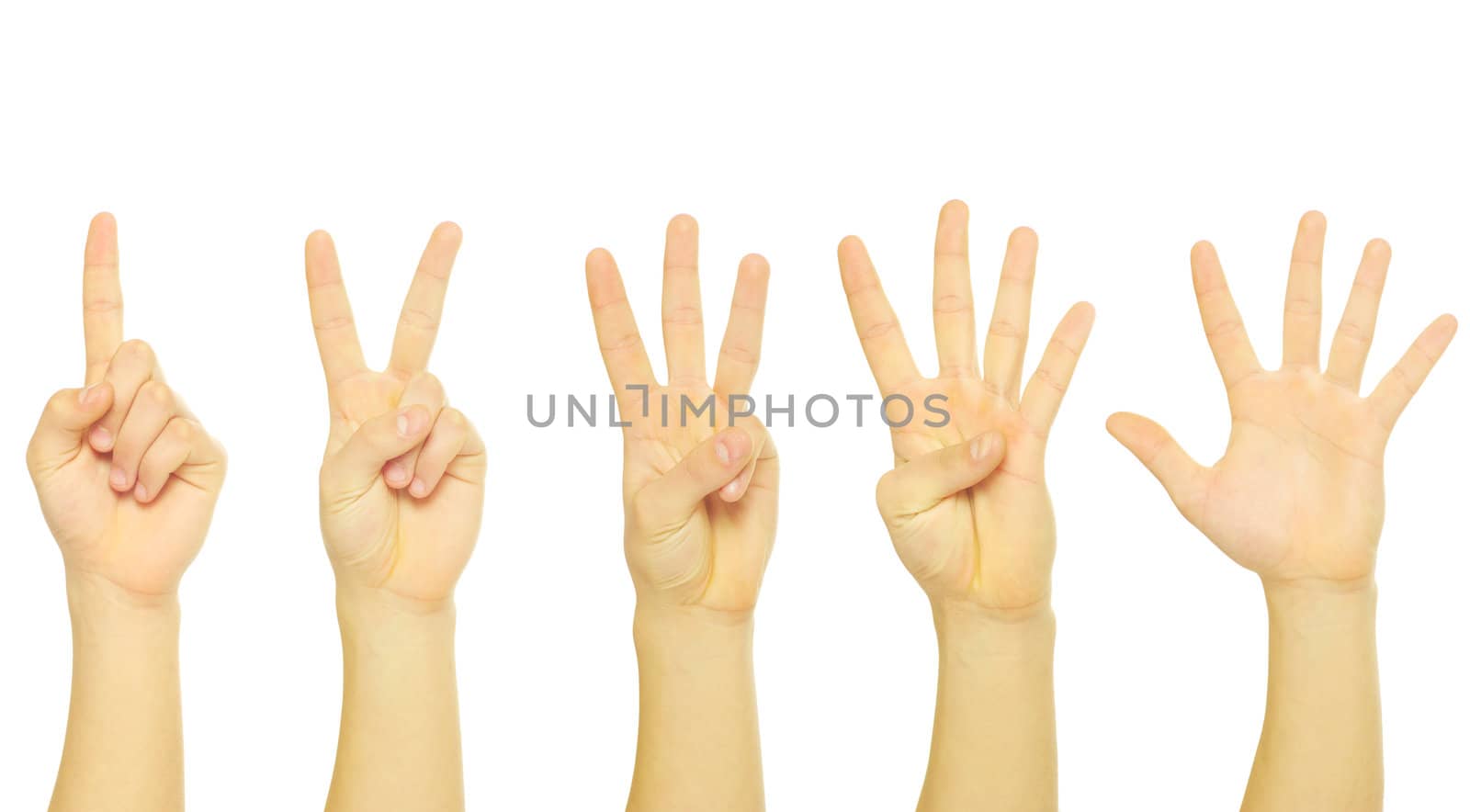 hands isolated on a white 