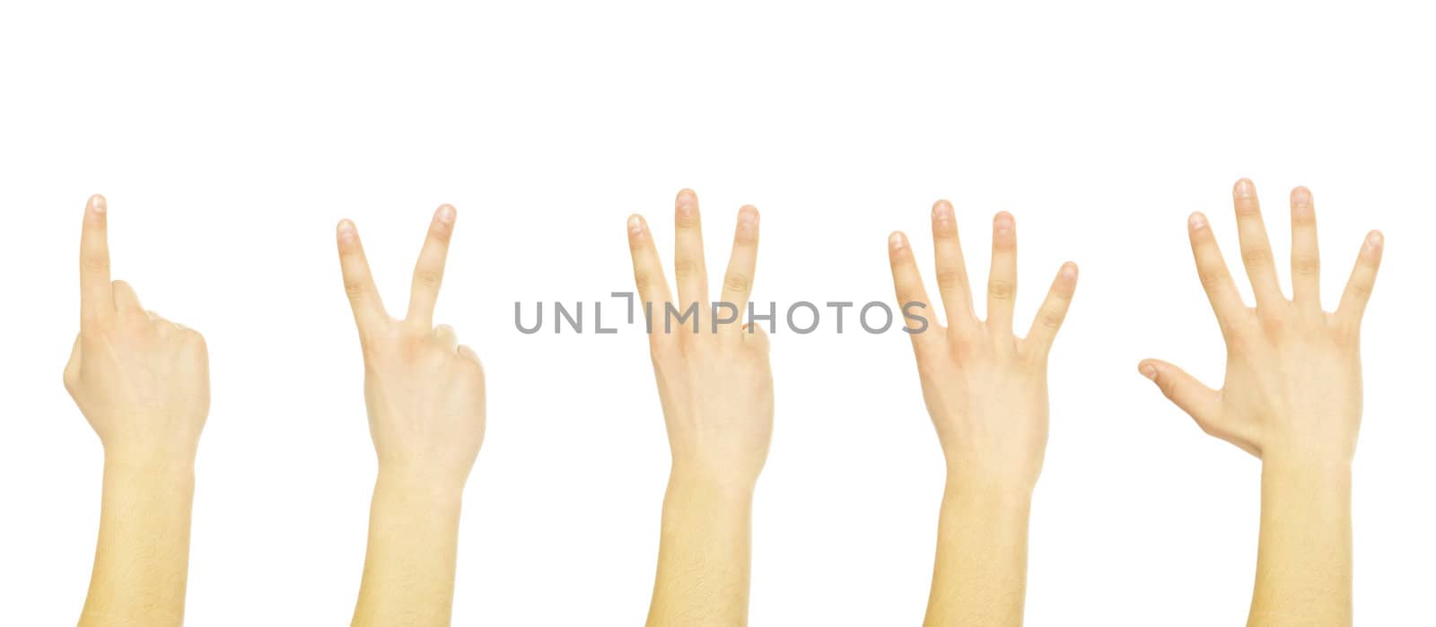 hands isolated on a white 