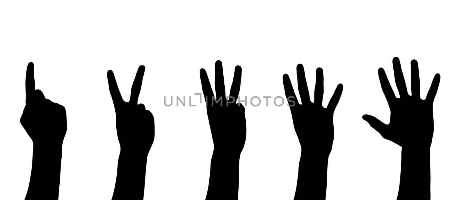 hands isolated on a white 