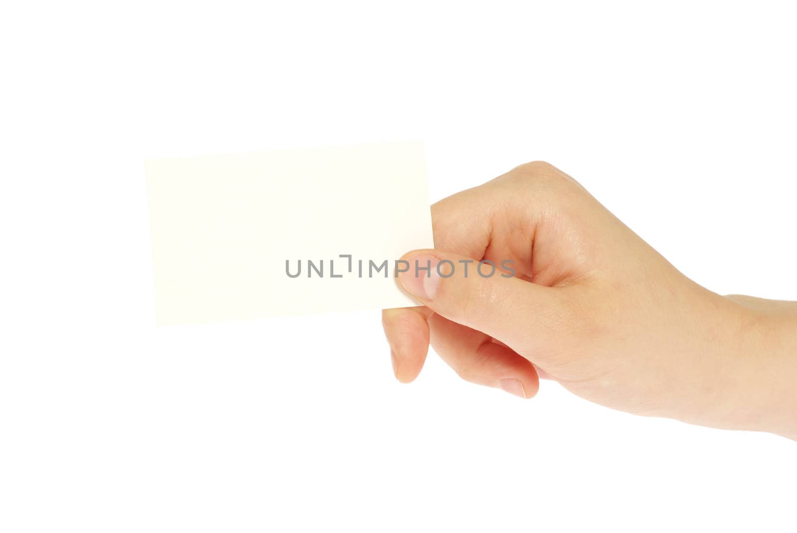 card blank in a hand isolated on white
