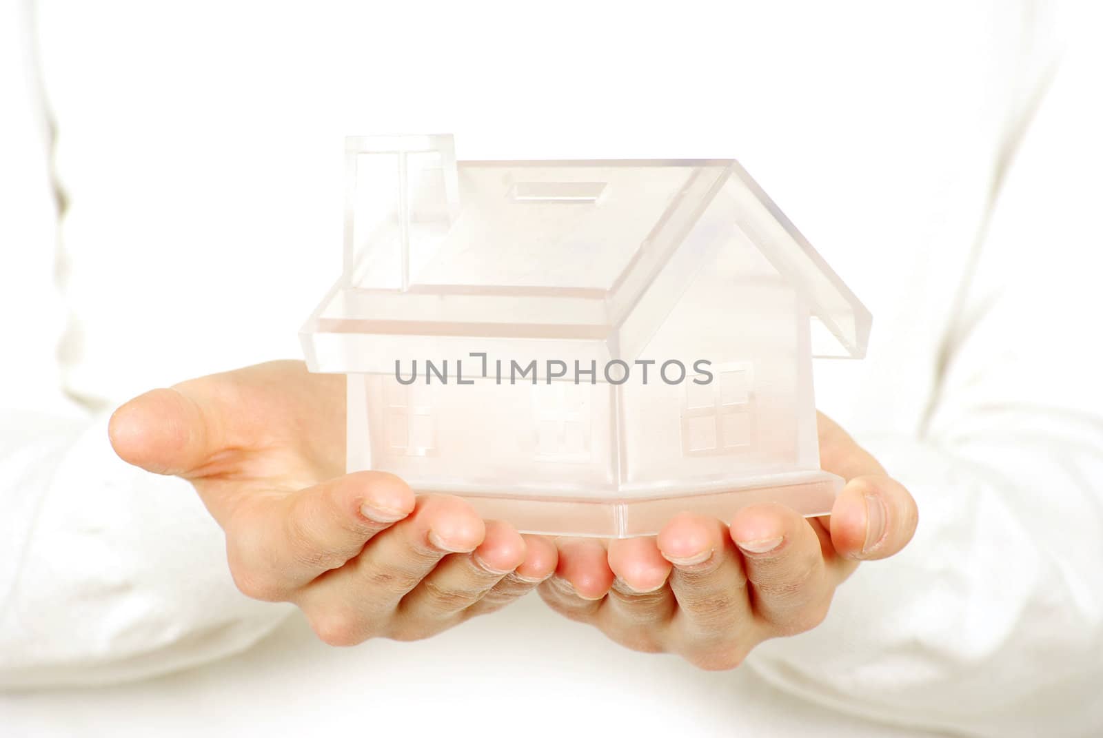 The house in human hands on white