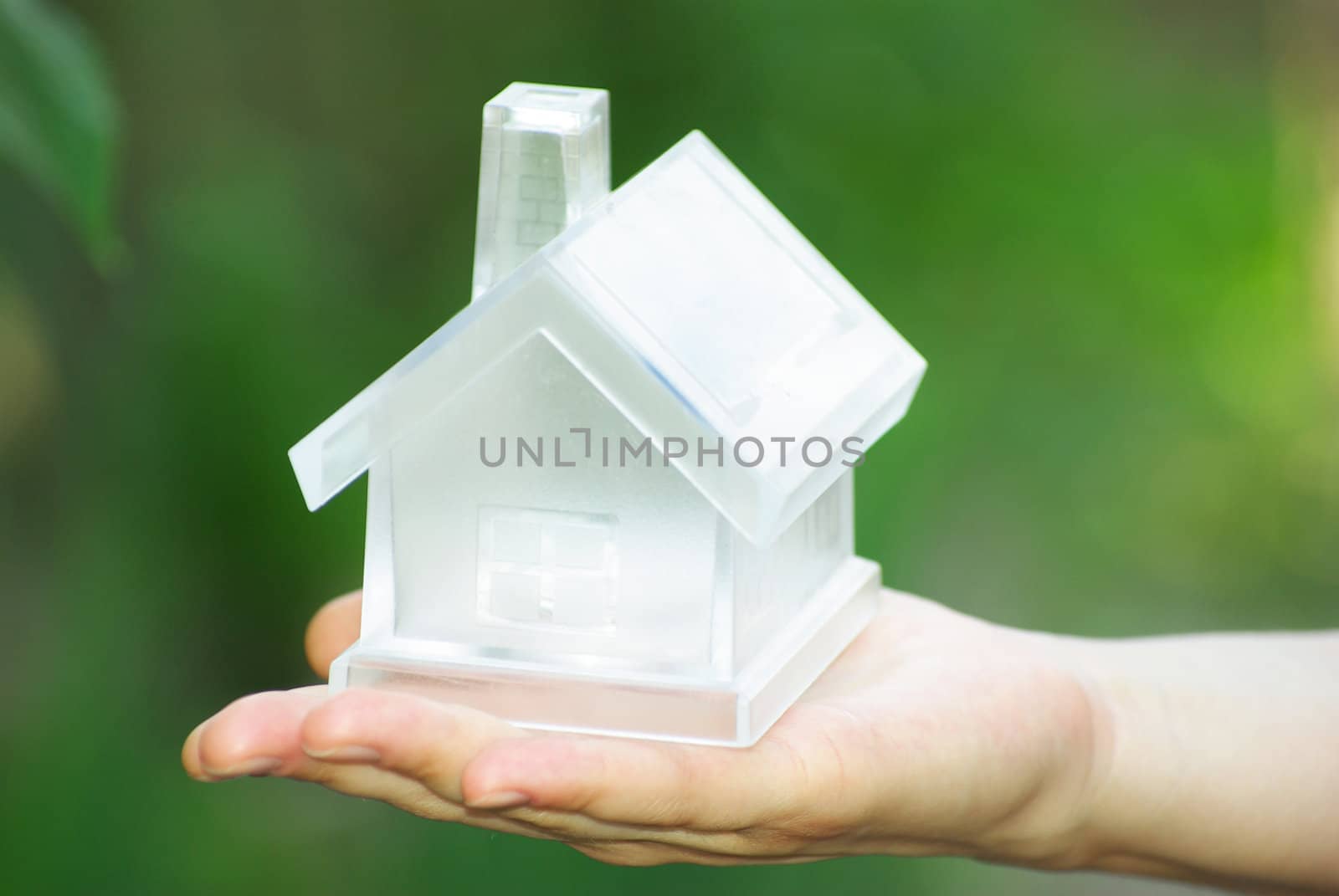 The house in human hand