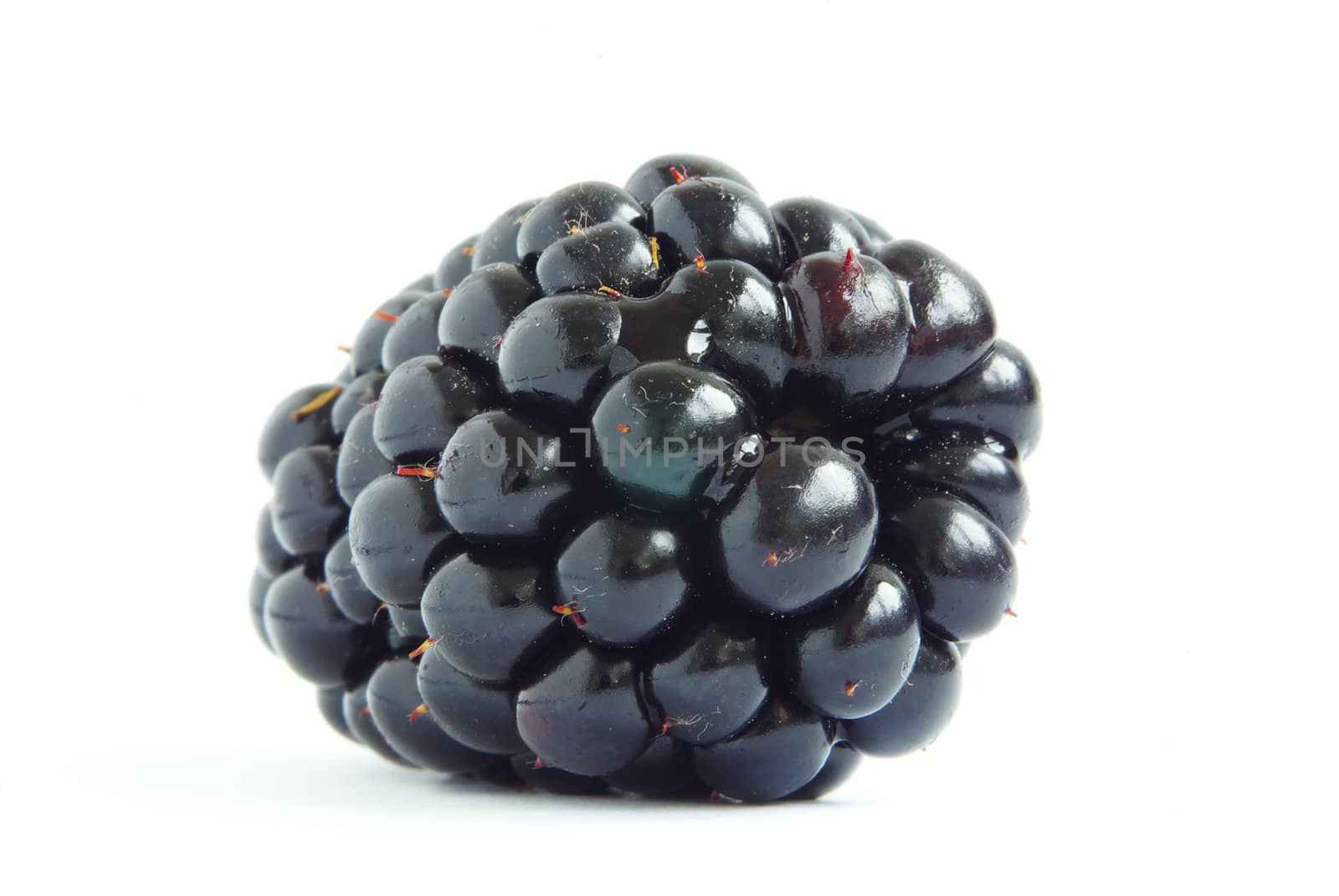 blackberry isolated on white background
