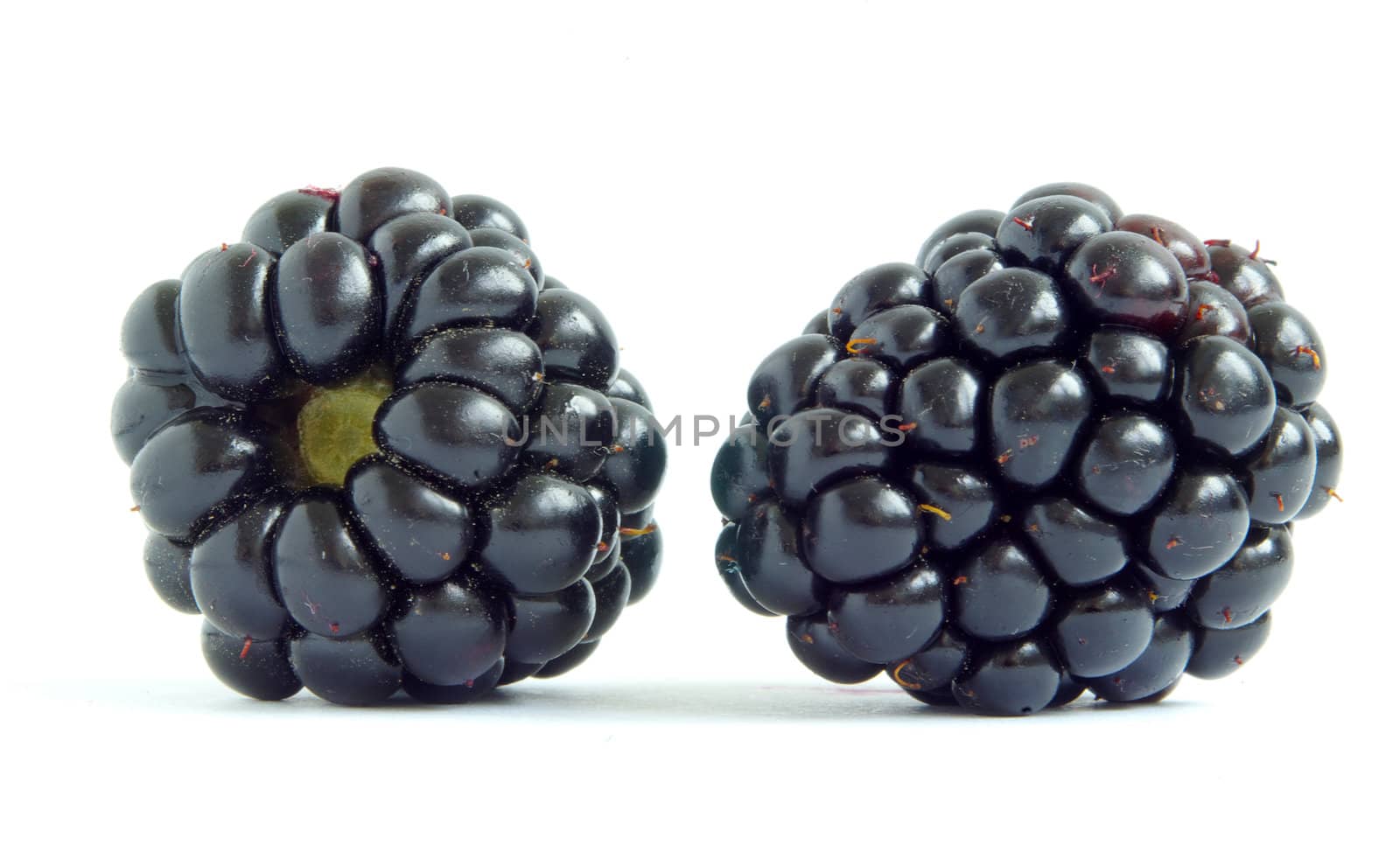 blackberry isolated on white background