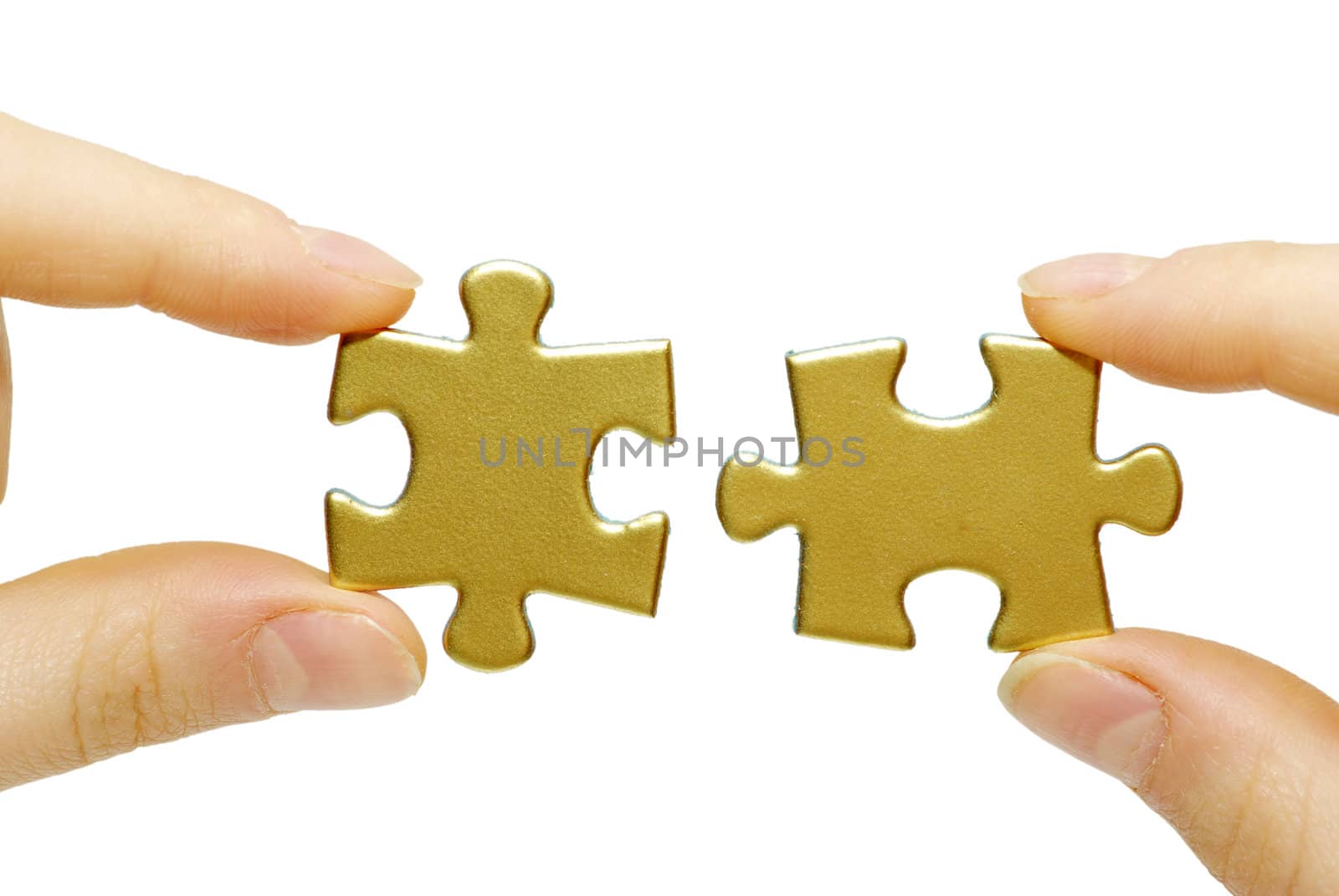  puzzle in hands isolated on white background