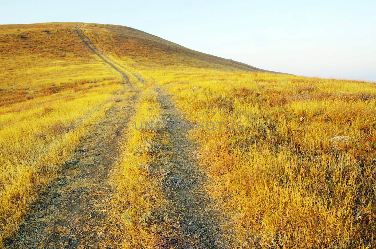 path on mountain meadow in nice day