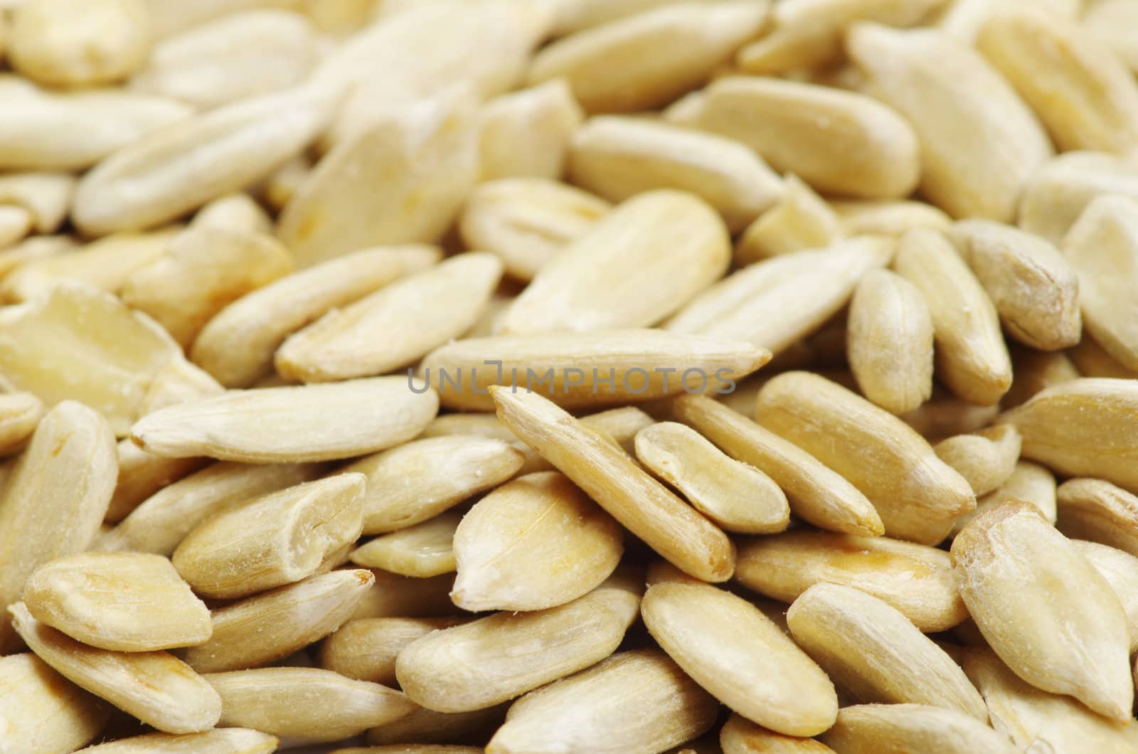 roasted sunflower seeds close up