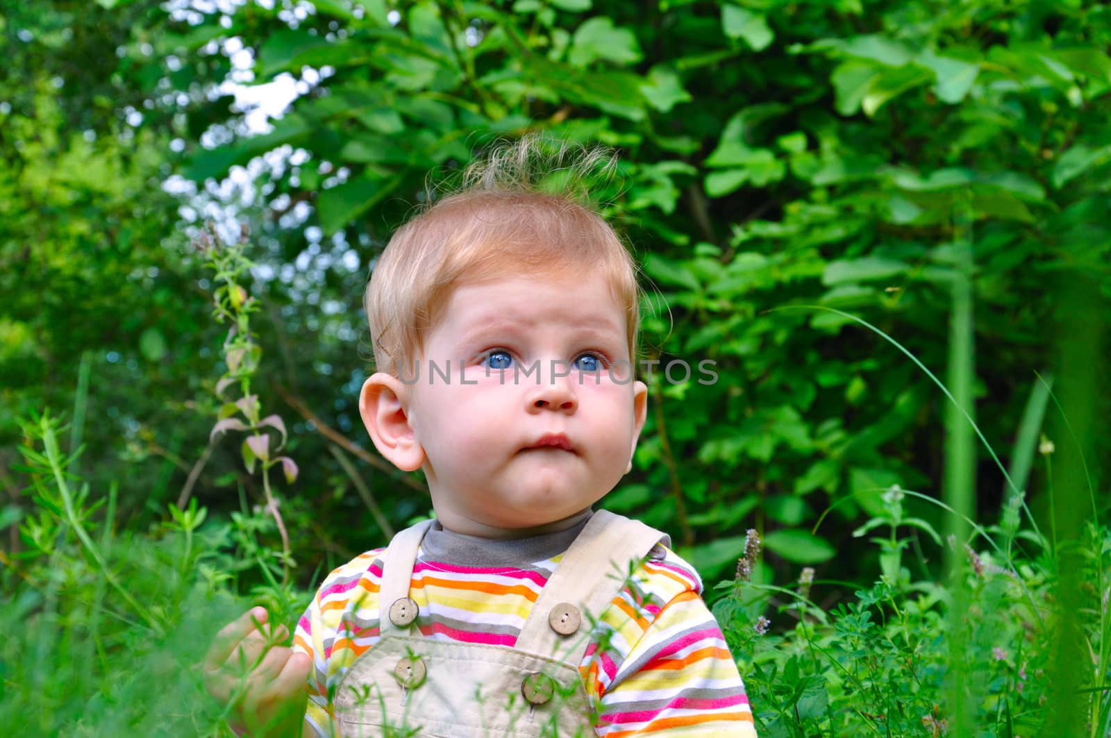 Little blond boy sitting on a green meadow