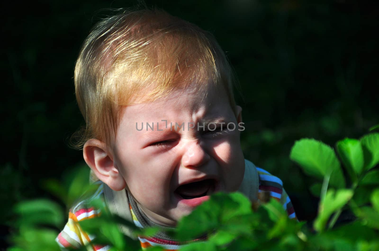 Little blond boy crying on a green meadow