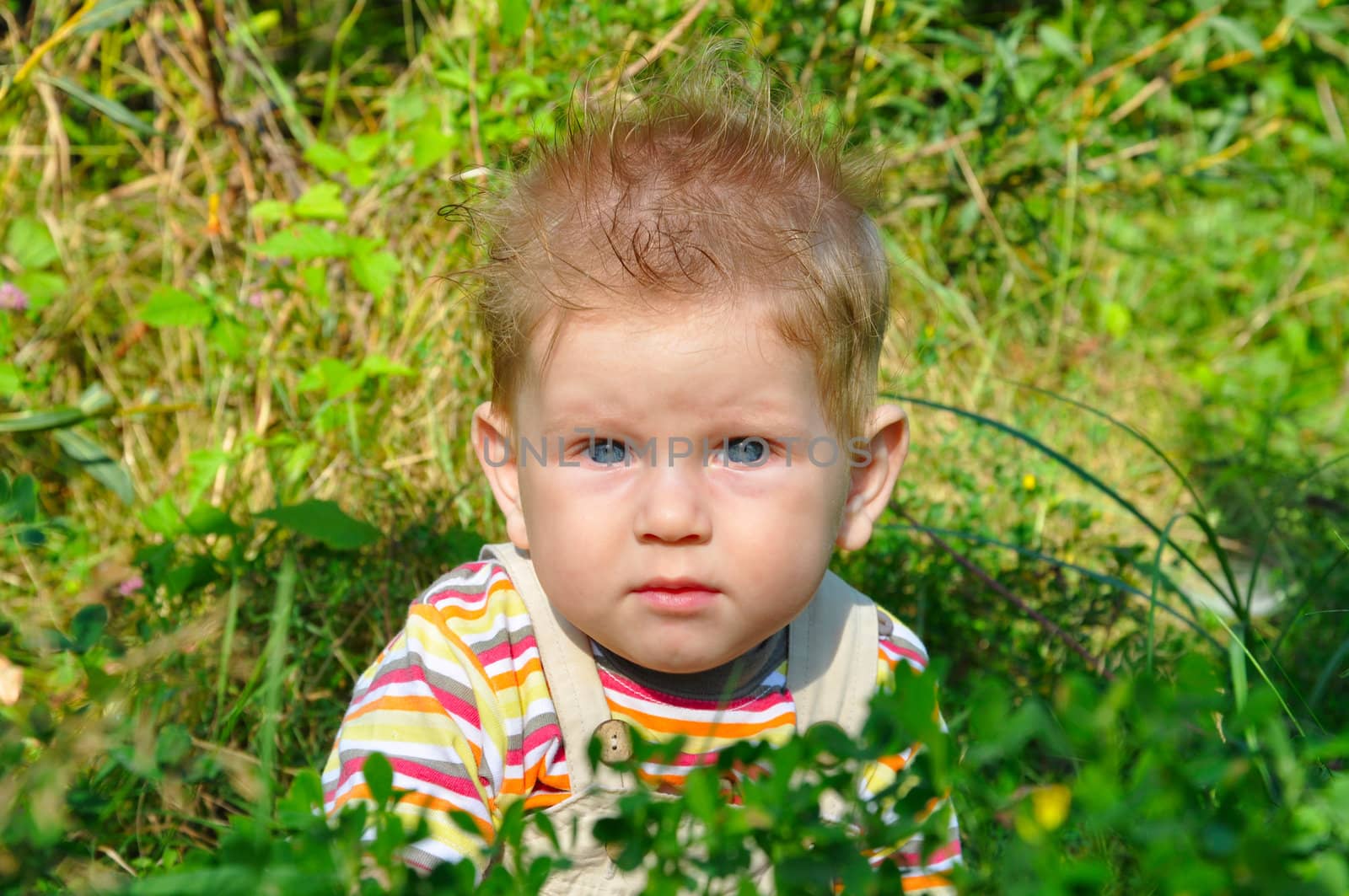 Little blond boy sitting on a green meadow