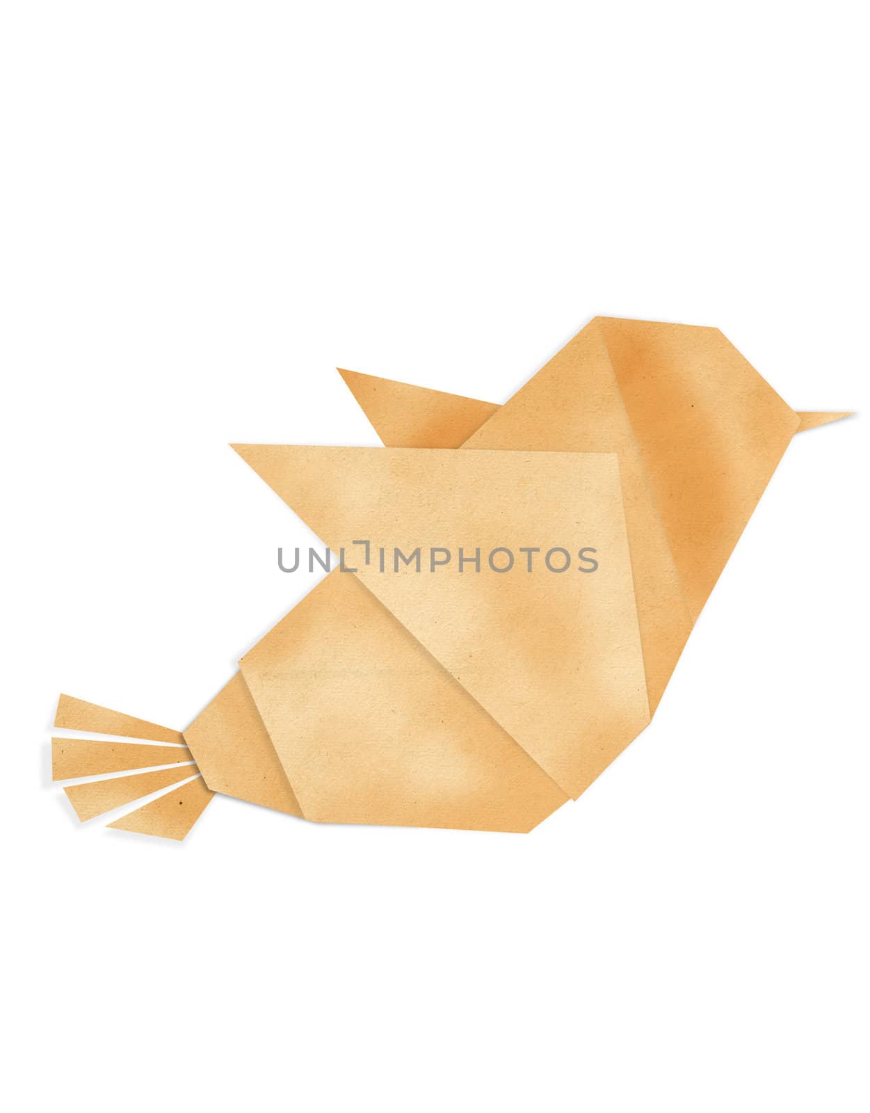 colorful origami birds make from recycle paper by Suriyaphoto