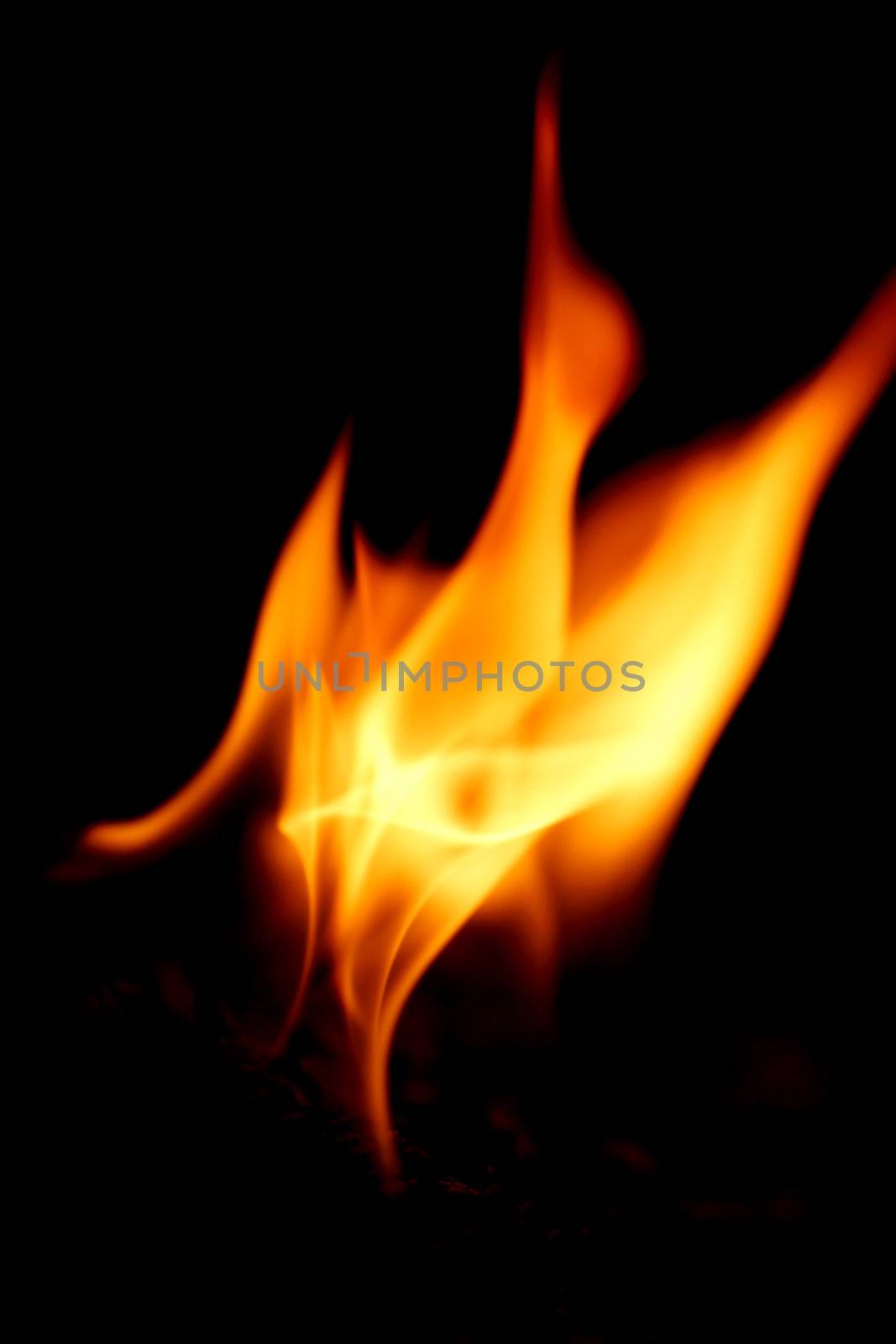 fire flame close up by Yellowj