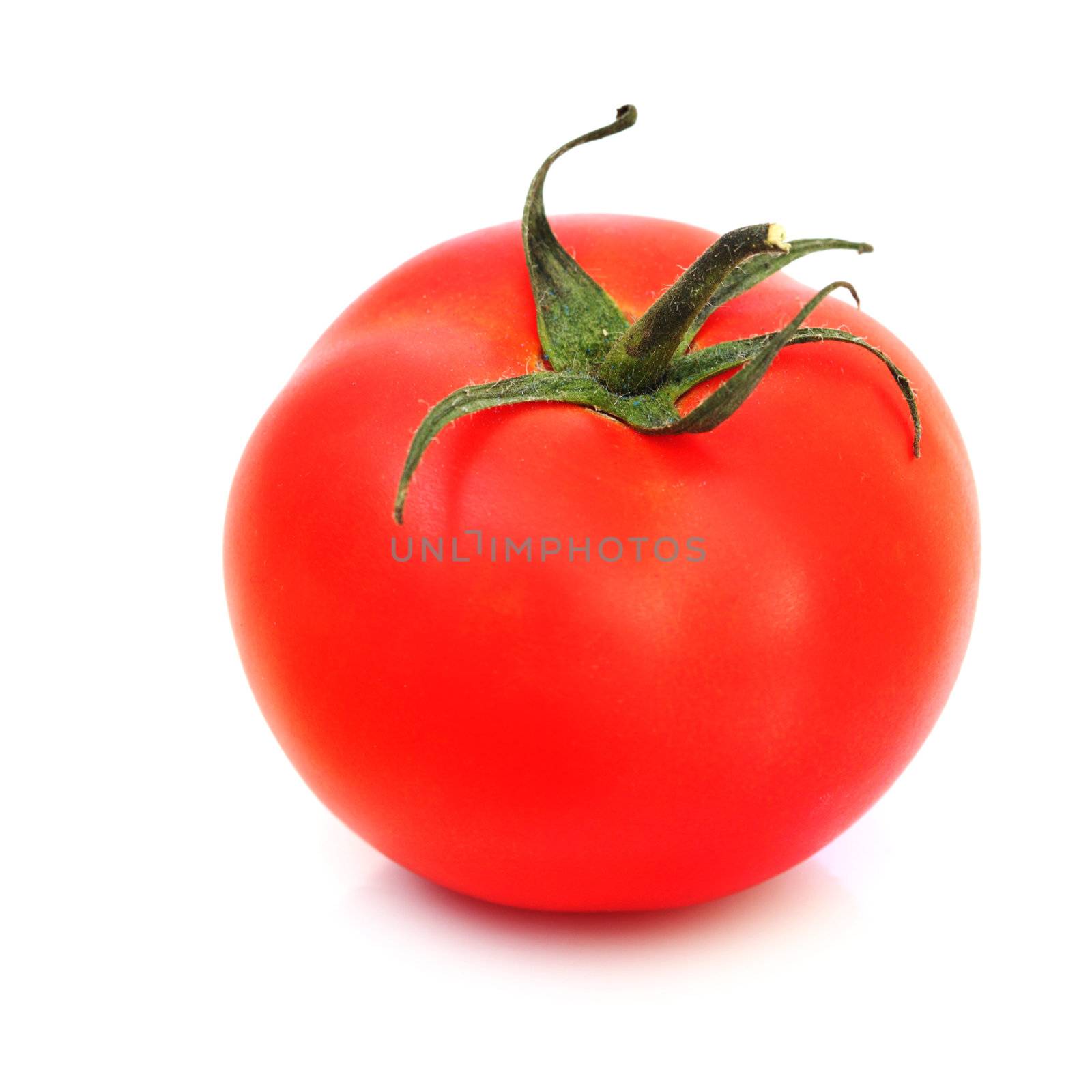 one tomato isolated on white