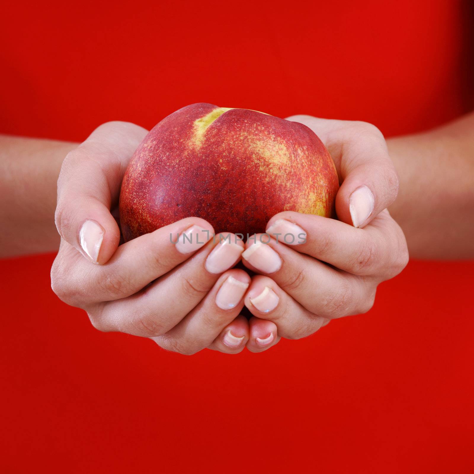 peach in woman hands close up
