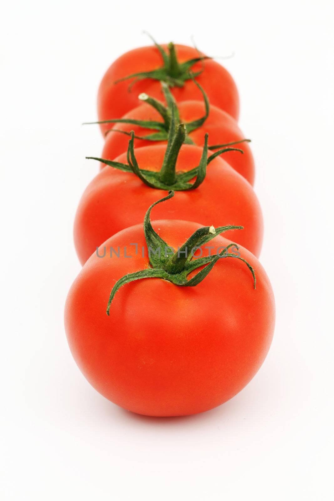 tomato  by Yellowj