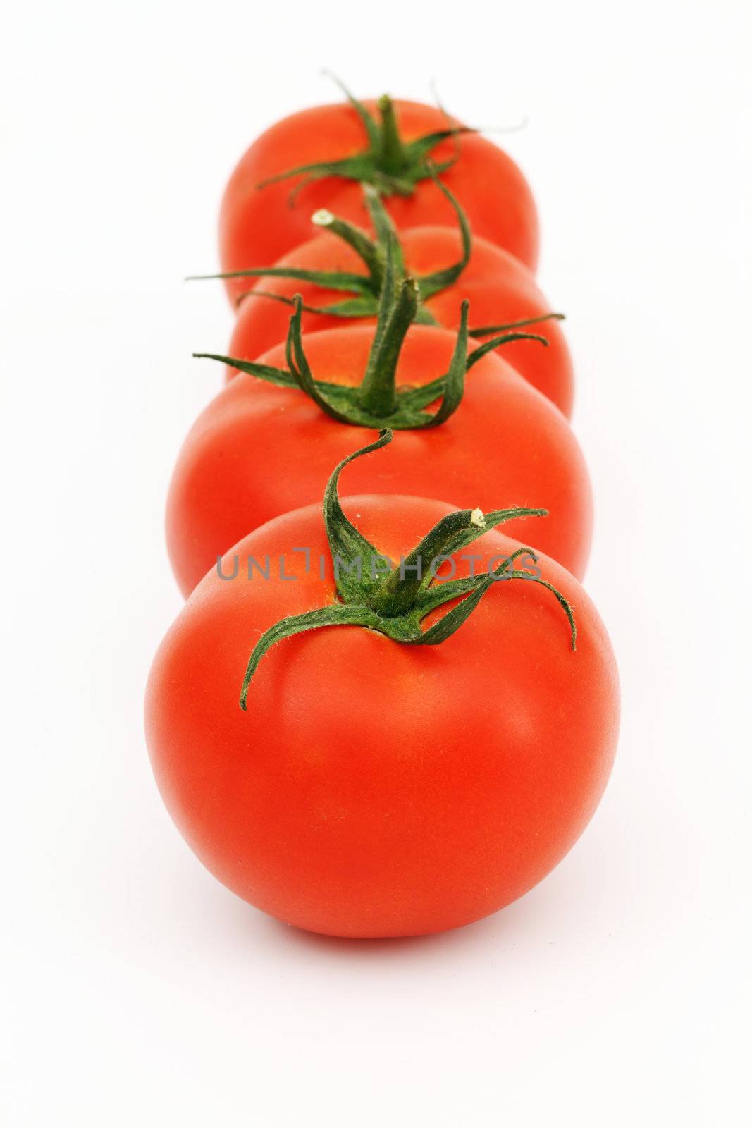 tomato isolated on white close up