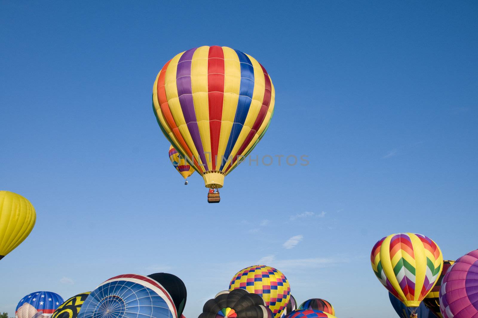 Hot-air balloons ascending over inflating ones on the ground