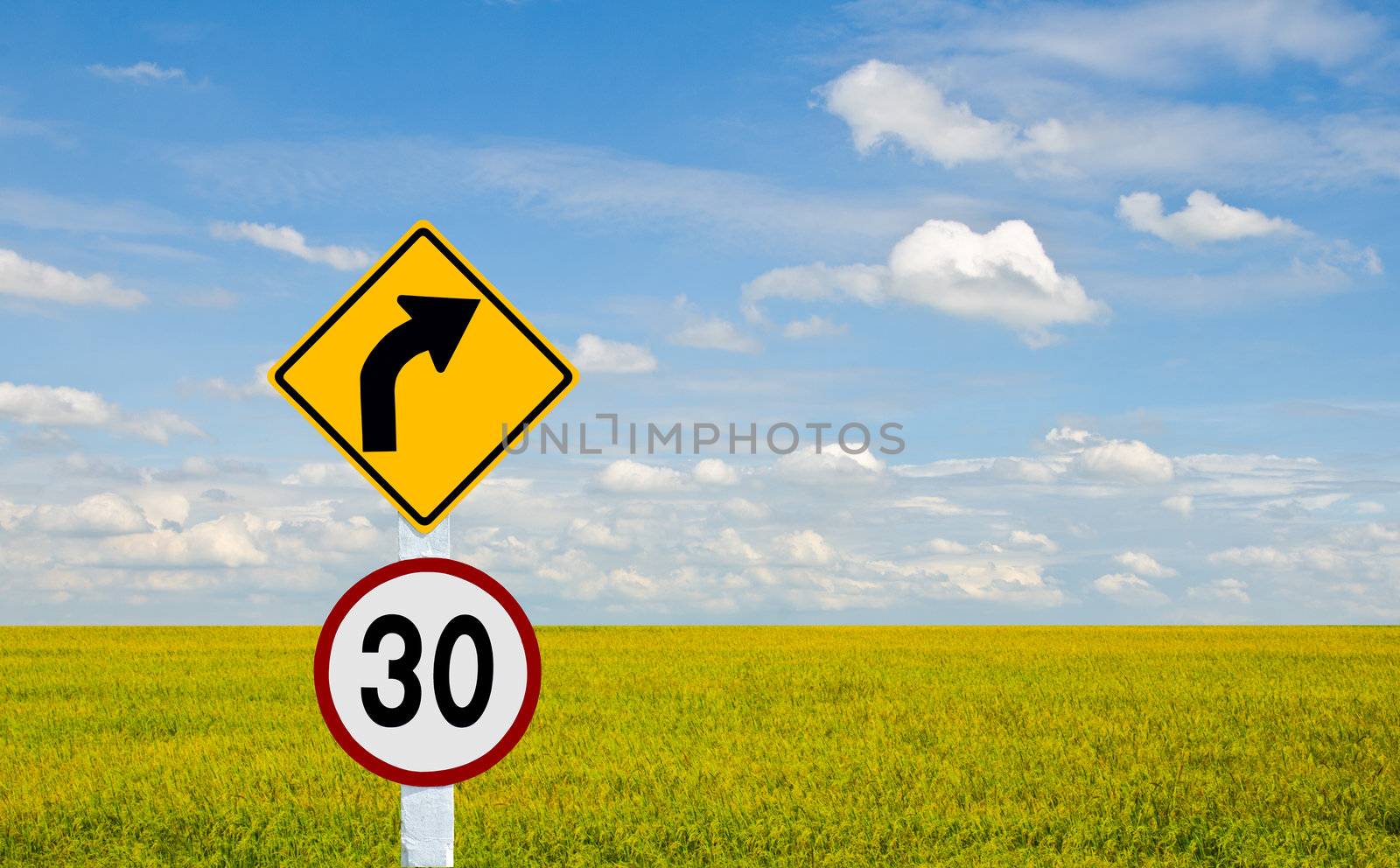 Traffic signs for speed limits up to 30 miles per hour.